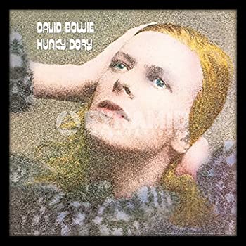 【中古】DAVID BOWIE / HUNKY DORY デビッド ボウイ / ハン手懸かり ドリー [並行輸入品]