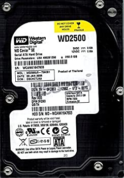 【中古】WD2500JS-75NCB1 Western Digital 250GB DCM: DSCHCTJAA [並行輸入品]