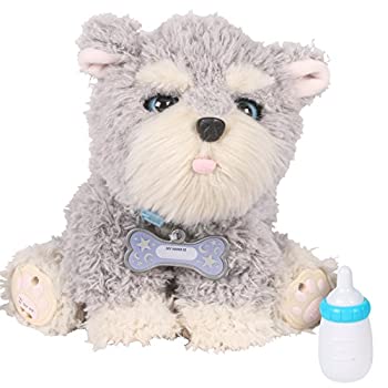 【中古】ラングスジャパン(RANGS) マイドリームパピー ラッフルズ