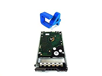 【中古】Dell G76RF 600GB 10k RPM 2.5in 64MB SAS-6Gb/s HDD (置き換え済み)