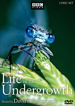 【中古】(未使用･未開封品)Life in the Undergrowth [DVD] [Import]