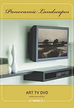 【中古】【非常に良い】Plasma Window: Panoramic Landscapes [DVD]