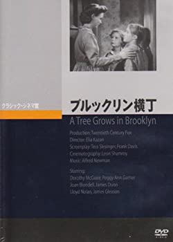 【中古】(未使用･未開封品)ブルックリン横丁 [DVD]｜ドリエムコーポレーション