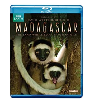 【中古】Madagascar [Blu-ray]｜ドリエムコーポレーション