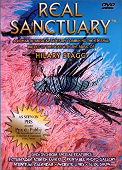 【中古】【非常に良い】Hilary Stagg: Real Sanctuary [DVD]