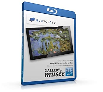【中古】Gallery Musee [Blu-ray]