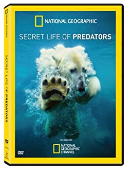 【中古】(未使用･未開封品)Secret Life of Predators [DVD]｜ドリエムコーポレーション