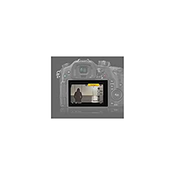 【中古】パナソニック デジタルカメラ LUMIX GH4 専用 V-Log L アップグレードソフトウェア DMW-SFU1|ドリエムコーポレーション