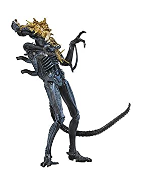 【中古】NECA - Aliens 7\