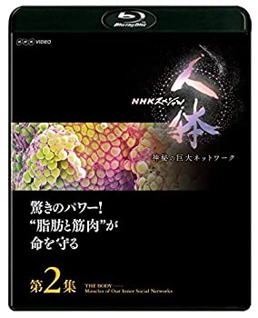 【中古】NHKスペシャル 人体 神秘の巨大ネットワーク 第2集 驚きのパワー! 脂肪と筋肉が命を守る [Blu-ray]｜ドリエムコーポレーション