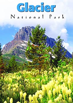 【中古】【非常に良い】Glacier National Park [DVD]