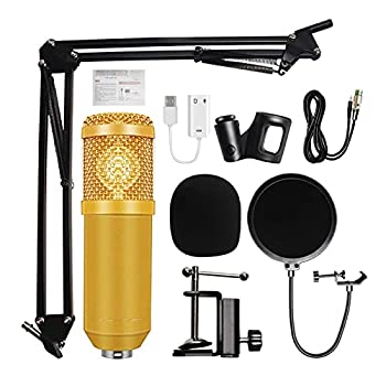 【中古】【非常に良い】マイク MicroFone BM 800 StudioマイクロフォンProfessional Microfone BM800コンデンサーサウンドレコーディングマイク用コンピュータ マイクス