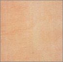 【中古】【非常に良い】1998 DAYS OF ARB [DVD]