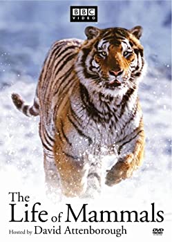 【中古】Life of Mammals 1-4 [DVD]