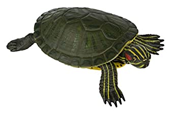 【中古】【非常に良い】Safari Incredible Creatures ( インクレディブル クリーチャーズ ) ミシシッピーアカミミガメ 269529