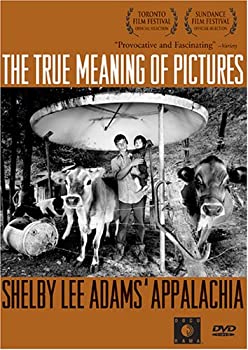 【中古】【非常に良い】True Meaning of Pictures [DVD]