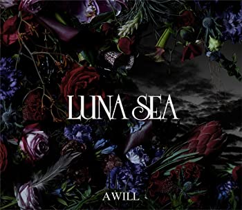 【中古】【非常に良い】A WILL(初回限定盤B)(DVD付) [CD]｜ドリエムコーポレーション