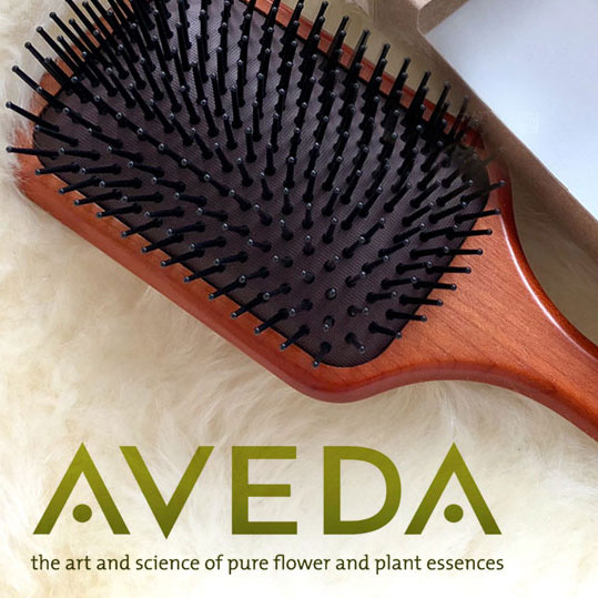 楽天市場】AVEDA アヴェダ ミニ パドルブラシ【送料無料】 ギフト 誕生 