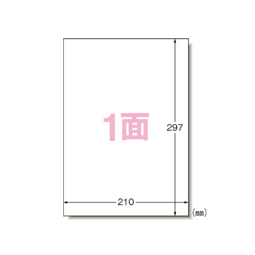 エーワン PPC（コピー）ラベル 100枚入 規格:A4判1面