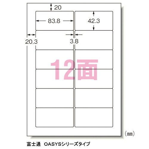 エーワン マイコン印刷者\u0026ワープロラベルシール〈印刷者兼用〉 つや消し紙（A4判） 500枚入 判定基準:A4判12面