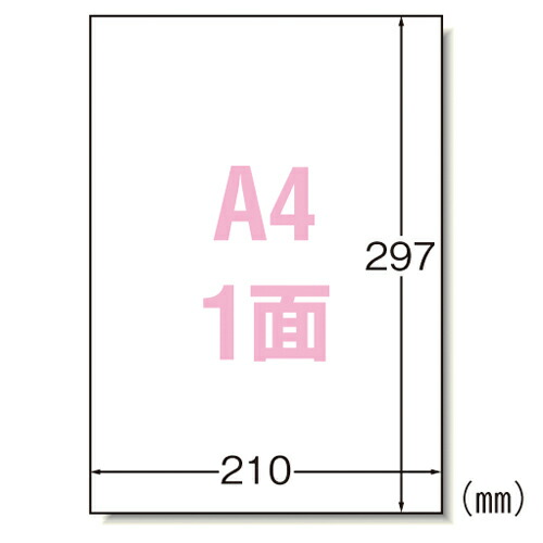 エーワン ラベルシール〈プリンタ兼用〉 マット紙 ノーカットタイプ 規格:A4判1面