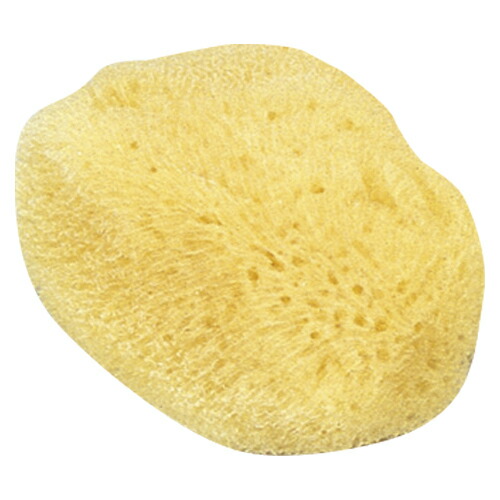 楽天市場】【20個まとめ売り】 コクヨ 紙めくり 補充用海面 メク-15