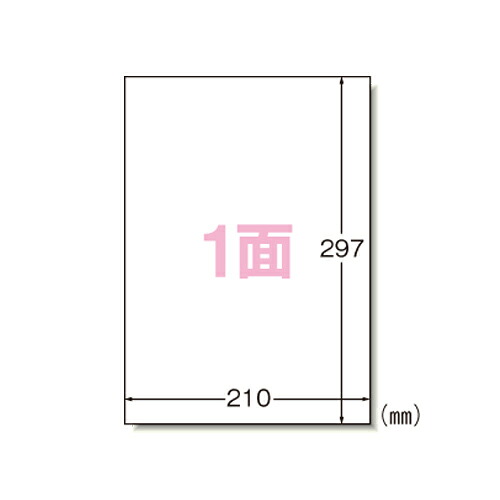 エーワン 下げ札消印〈レーザ印刷者〉 つや消し紙（A4判） 500枚入 標準尺度:A4判1面