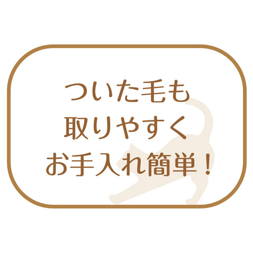 喇叭プロジャパン 和歌山海南 ネコが悦に入る擦る お髪取り毛はらい ネジリ ペット属具 Nobhillmusic Com