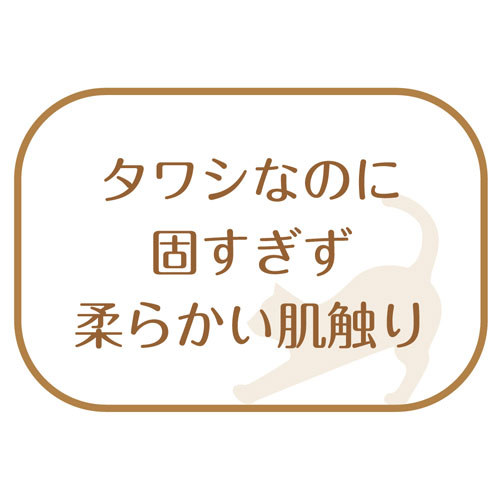 喇叭プロジャパン 和歌山海南 ネコが悦に入る擦る お髪取り毛はらい ネジリ ペット属具 Nobhillmusic Com