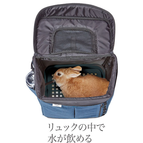 全商品ポイント 倍 日 時 分まで ペティオ ラパンリュックキャリー グレー ペット用品 うさぎ うさぎ用 キャリーバッグ お出かけ スノコ付き Mavipconstrutora Com Br