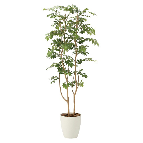 エヌケイ マウンテンアッシュ(人工植物) 観葉植物 インテリア 自宅 オフィス 寝室 風水 玄関 トイレ|どっとカエール 支店