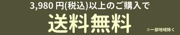 楽天市場】テージー 不動産書類ホルダー(表紙文字無し） Ａ４判 ２０ポケット エコタイプ（黒） : どっとカエールコレクト