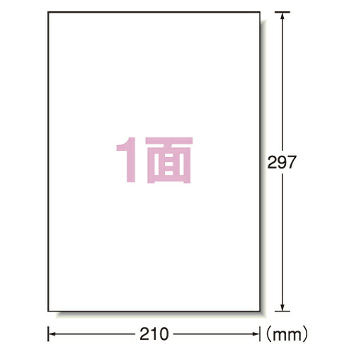 エーワン PPC(コピー)ラベル 500枚入 規格:A4判1面|どっとカエールコレクト