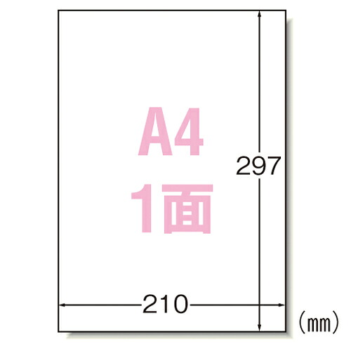 エーワン ラベルシール〈プリンタ兼用〉 マット紙 ノーカットタイプ 規格:A4判1面