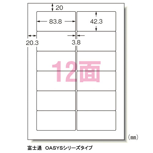 エーワン　パソコンプリンタ&ワープロラベルシール〈プリンタ兼用〉 マット紙（A4判）　1000枚入 規格:A4判12面｜どっとカエールコレクト