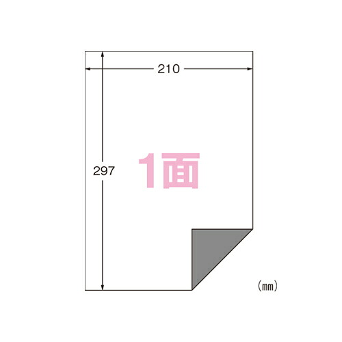 エーワン　ラベルシール〈プリンタ兼用〉下地がかくせる修正タイプ マット紙（A4判）　100枚入 規格:A4判1面