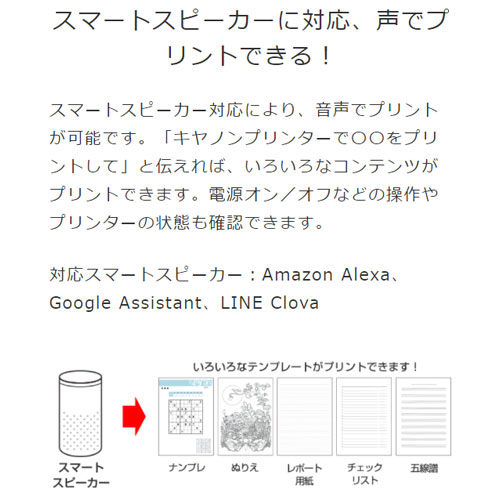 キヤノン インクジェット複合機 独立インクタンク 年モデル ホワイト Butlerchimneys Com