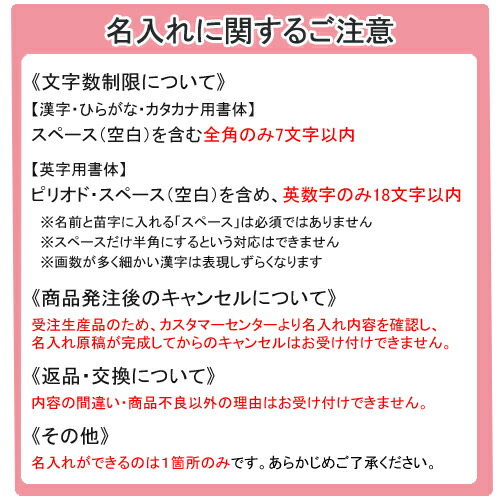 レイメイ藤井 送料無料 令名入れ 雑記帳 ダ ヴィンチ グランデ ロロマクラシック 輪道のり 聖書 ヌメ甲羅 牛 濃紺 Residenza Latorre Com