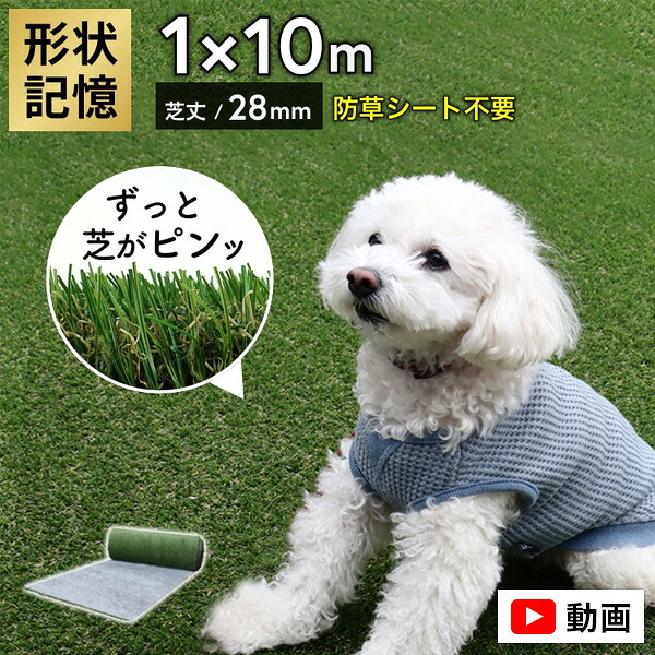 【レビュー特典付き】【メーカー公認店】メモリーターフ AIR 人工芝 1m&times;10m ロール 芝生 リアル 人工芝生 水はけ 人口芝 芝丈28mm 屋外 防草シート不要 庭 緑 ベランダ 室内 ドックラン 犬 サッカー 長め 業務用 diy 抜けにくい 防草｜サムライ家具
