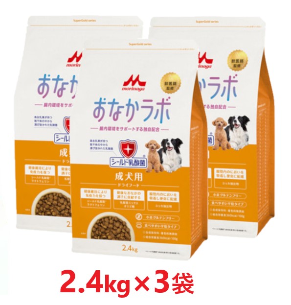 【３袋仕掛ける】【百貨店ゴールド 土手っ腹科学研究所 成犬用 2.4kg ×３袋】【成犬用ボンネット】【腸内周囲の状況受け支える】【森乳サンワールド】(発)