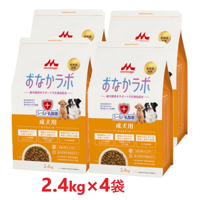 【４袋仕掛ける】【百貨店ゴールド 土手っ腹科学研究所 成犬用 2.4kg ×４袋】【成犬用ボンネット】【腸内周囲の状況受け支える】【森乳サンワールド】(発)