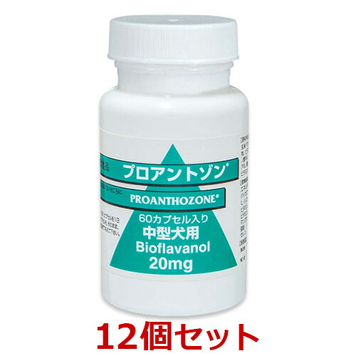 【１２個セット】【プロアントゾン 20mg 60カプセル &times;１２個】（中型犬）犬【共立製薬】 (発)｜ペット犬猫療法食動物病院 2号店