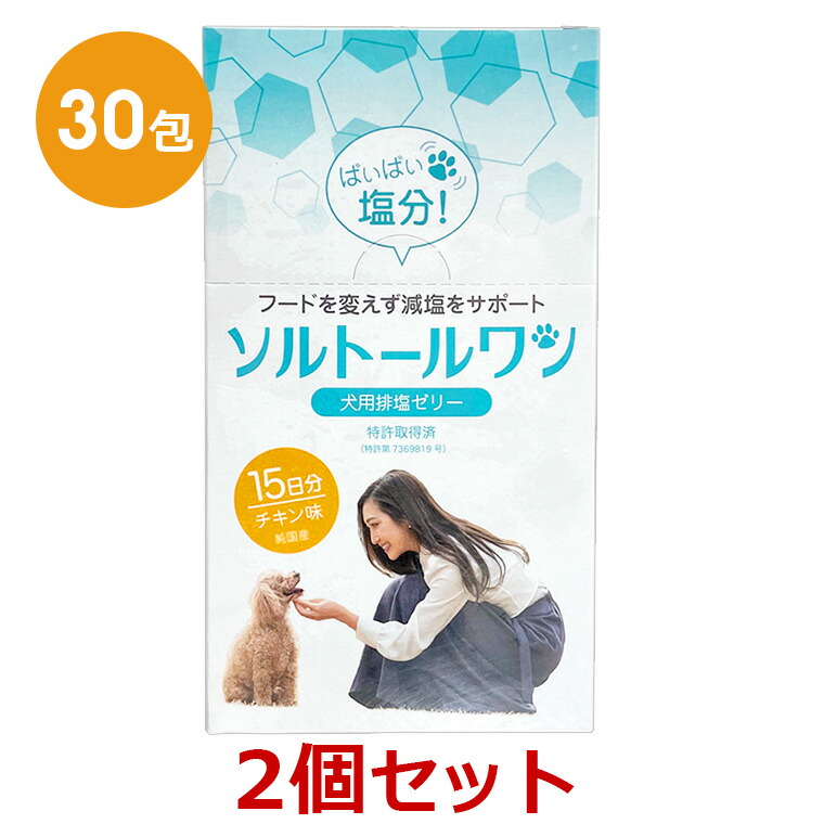 【期間限定】【最強配送】【２箱セット】【ソルトールワン (10g×30包入) ×２箱】【賞味期限：2028.03.31】【犬用排塩ゼリー】【日本全薬工業】(発)