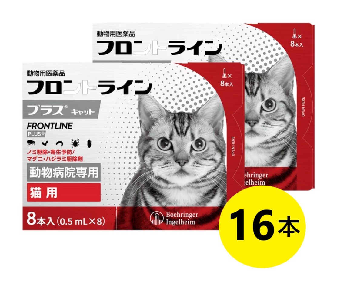 【２箱書き割り】【向こう正面伝達ルートつけ加える 猫 ８本入×２箱】【当て嵌める締め切り日：2027.07】(向こう正面伝達ルート つけ加える 猫用)【毛の荒物用飲み薬】 [隠翅目追い出し・寄生止めること / マダニ・ハジラミ追い出し剤] 【継続期間押さえる】(C)