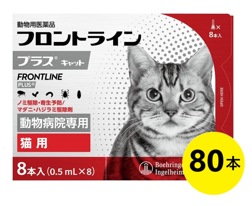 【１０箱セット】【フロントラインプラス キャット ８本入×１０箱】【使用期限：2027.01】(フロントライン プラス 猫用)【動物用医薬品】 [ノミ駆除・寄生予防 / マダニ・ハジラミ駆除剤] 【期間限定】(C)
