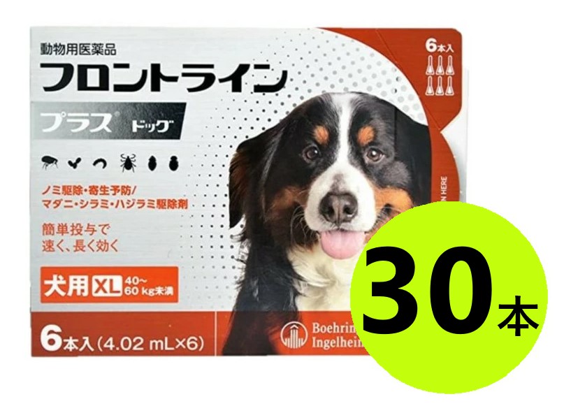 【５箱セット】【フロントラインプラス ドッグ XL（40～60kg未満） ６本入&times;５箱】(フロントライン プラス 犬用 XL)【動物用医薬品】 [ノミ・マダニ駆除薬] (発)｜ペット犬猫療法食動物病院 2号店