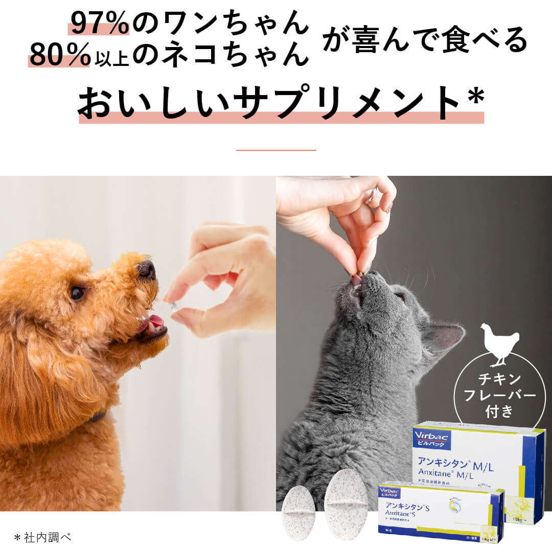 ビルバック コンドロフレックス 375 (犬:15~25kg用) 30粒 大きな取引