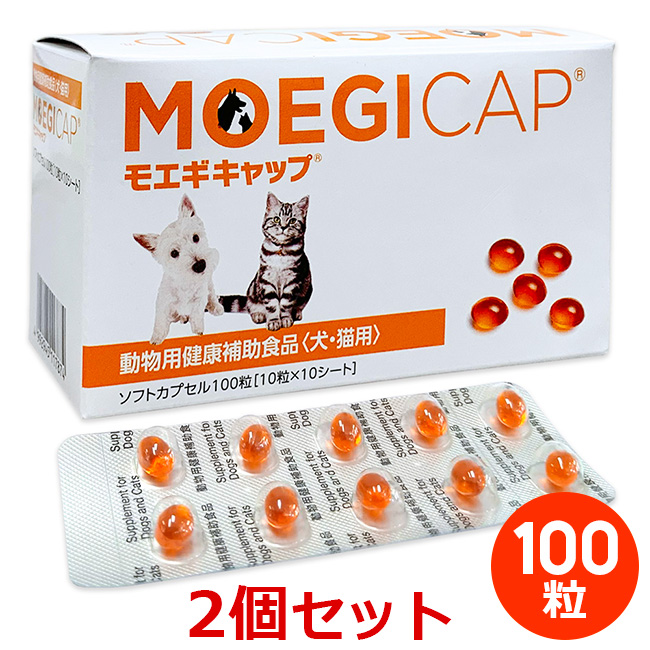 爆買い新作 犬猫用健康補助食品 デンタルバイオ 100粒 × 10個