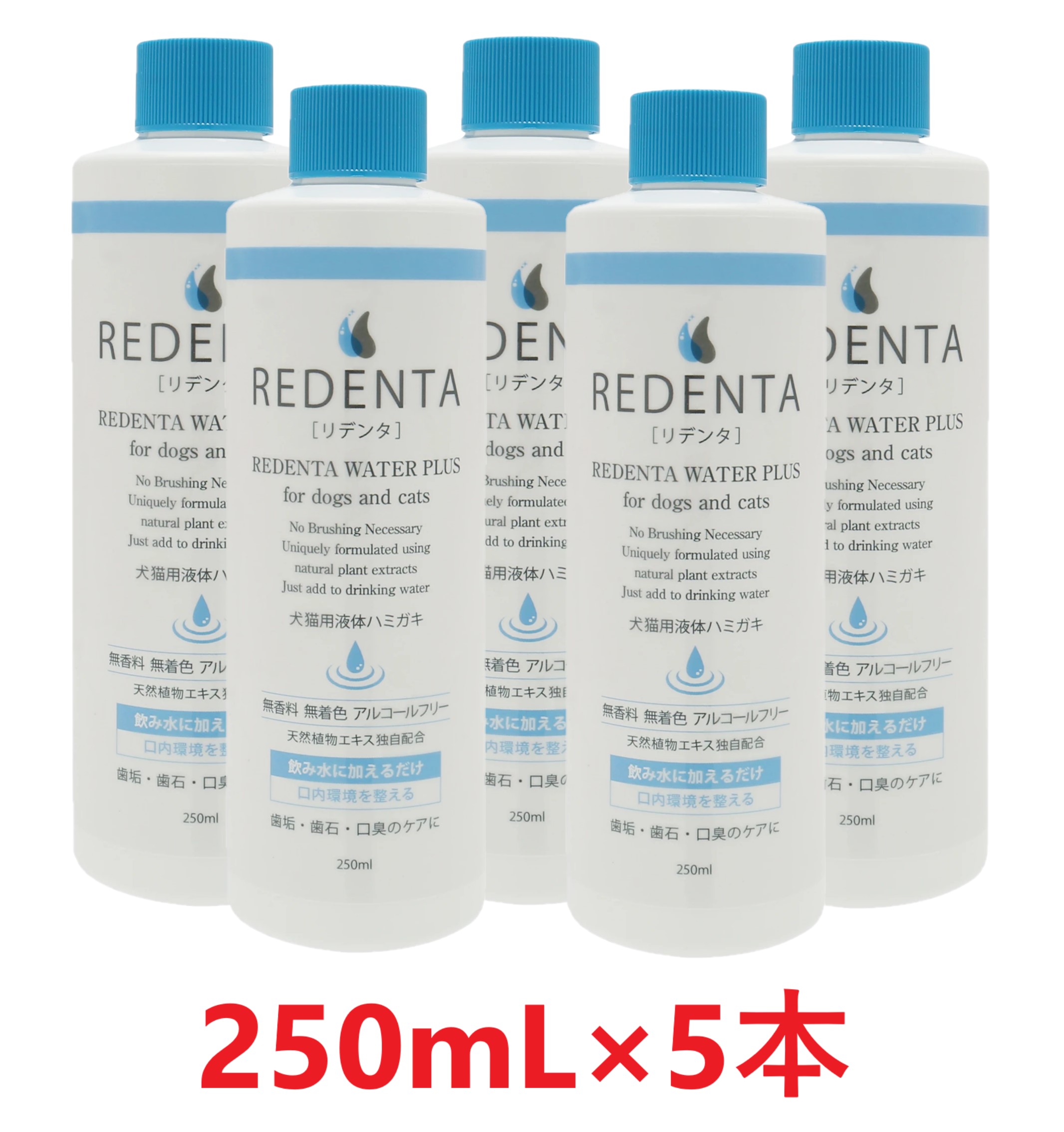 【５本書き割り】【(REDENTA) リデンタ お水足し加える 250mL ×５本】【犬猫用流動物ハミガキ】【飲み水に加える歯みがき】【リトル科学研究所】(リデンタウォータープラス) 【全国】(発)