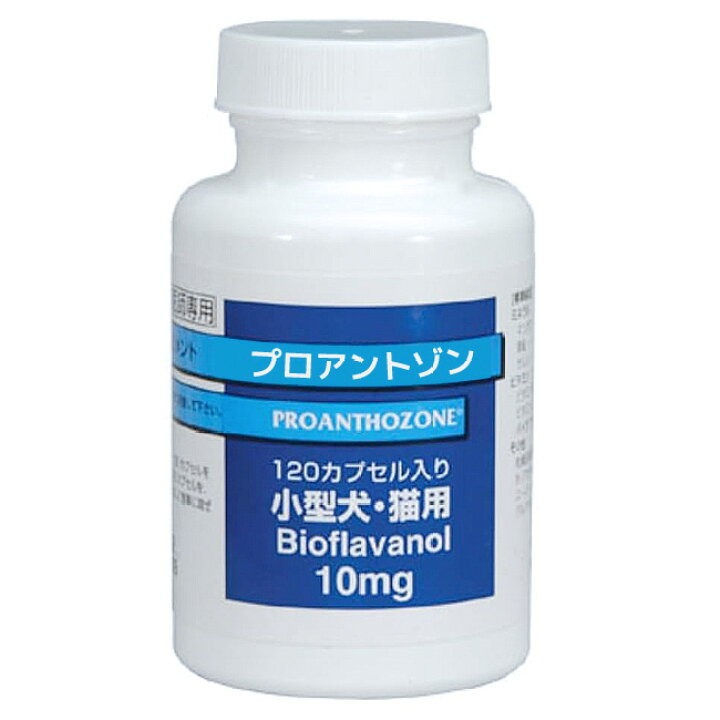 バイラリスプラスViraly's Plus 100mL 猫用サプリ 楽天市場】日本全薬工業バイラリスプラス 100ml（猫用